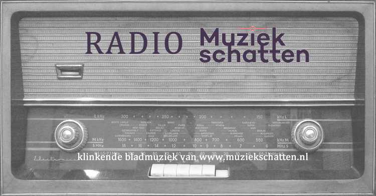 Banner Radio Muziekschatten